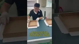 Packaging box production line, automatic feeder, and semi-automatic servo forming machine