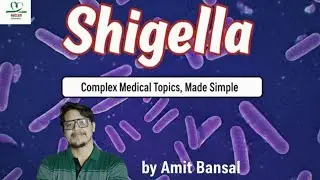 shigella microbiology|shigellosis microbiology|bacillary dysentery microbiology