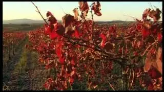 Wines of Germany, Growing Regions: Nahe