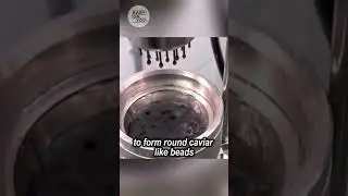 This Factory Produces Fake Caviar