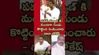 #naralokesh#pawankalyan #andhrapradesh#gundustory #janasenaparty#tdp#dcm #chandrababu#paritalaravi