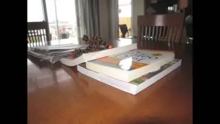 crawl and hide