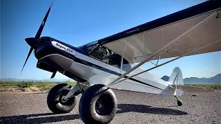 Walkaround - Super Cub - N3833Z