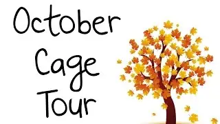 October Cage Tour | 2014