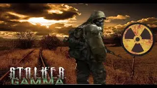 Stalker Gamma 1life Ironman