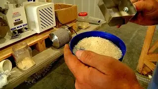 Rice Production in Tennessee