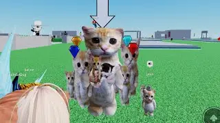 thursday stream