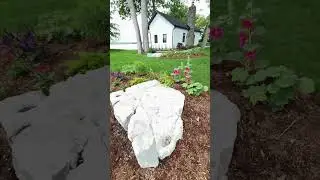 island short2 #island #landscapemagic