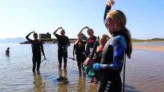 Snorkel Tours with Sea Synergy