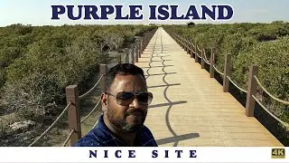 Purple Island Thakira Mangroves And Thakira Beach - 4K
