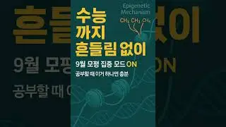 《818 Study Flow &ndash; Oboe Concerto》 집중력 높이는 클래식 스터디 플로우 음악