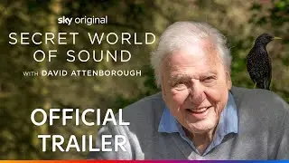 Secret World of Sound with David Attenborough | Official Trailer | Sky Nature