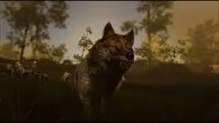 Ark Taming Series Ep. 82 | Timber Wolf | Animals of Atlas | CREATURE Guide & Spotlight