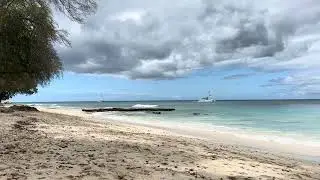 Barbados West Coast Beach 🌴 Crystal Clear Water & Caribbean Paradise | Relaxing Video