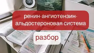 Разбор РААС || ренин-ангиотензин-альдостероновая система
