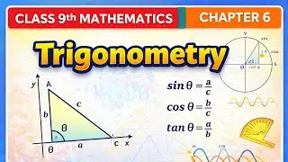 Trigonometry | Class 9 Mathematics Chapter 6 | NBF | Complete Concept Explained