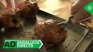Concurso AD Los Supervivientes l Pollos San Juan (Málaga)
