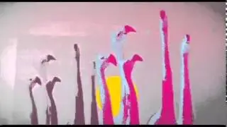 Optus Prepaid 2010 Ad