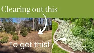 Spring 2026 GARDEN PLANS!!! / Clearing out the driveway bed for Spring Annuals!