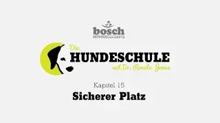 Die Hundeschule - Kapitel 15 Sicherer Platz