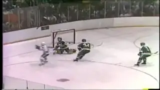 Savard Spinorama