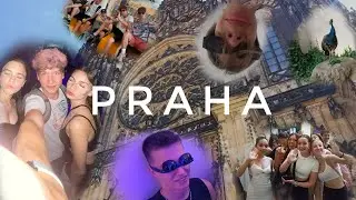 Po roce zpátky do PRAHY!!