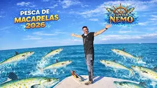 Primera pesca de Spanish Mackerel del 2026 en Marathon FL