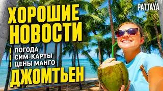 ПАТТАЙЯ СЕЙЧАС: РЕМОНТ ДЖОМТЬЕНА, СЕЗОН ДОЖДЕЙ, ЦЕНЫ НА МАНГО, СИМ-КАРТЫ. ТАИЛАНД 2025