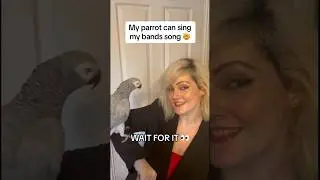 My parrot can sing my bands song 🤯 #emo #poppunk #parrot