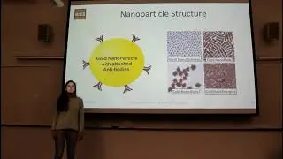 E86 Gold Nanorods Materials Project
