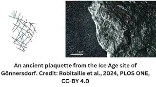 15,800-year-old Ice Age engravings reveal earliest depictions of fish trapping