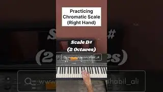 D# Chromatic Scale | Day 79/365 | Left Hand | 1 & 2 Octaves | Piano Journey | Habil Ali