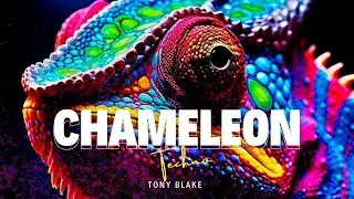 Tony Blake - chameleon