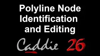 Polyline Node Identification and Editing