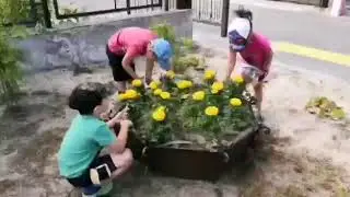«Природа вокруг нас»