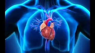 MRCP Endpoints Cardiology lecture 6
