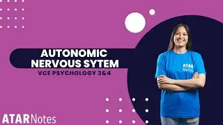 Autonomic Nervous System | VCE Psychology 3&4