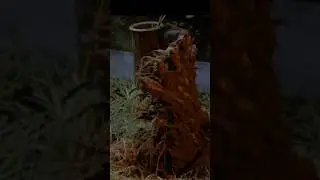 Happy Fathers Day Creepshow 1982 ☠🔥 #shorts #fathersday #80s #film #celebrate #meme