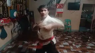 adventure view and upward cross block triple punch sweeping reverse punch #hanseipmvlog