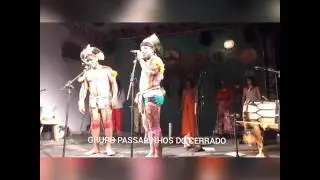 Participa&ccedil;&atilde;o YAWALAP&Iacute;TI e FULNI-&Ocirc; na grava&ccedil;&atilde;o do DVD - Passarinhos do Cerrado - Jul/2017.