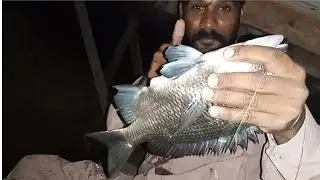 do darya fishing || karachi fishing || fishing 2022.