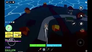 Playing blox fruits