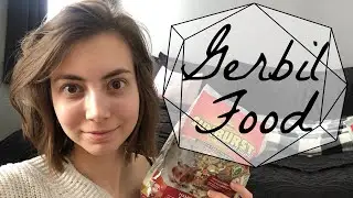 Gerbil Diet & Nutrition
