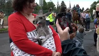 Bend's July 4th Pet Parade celebrates 101 years of patriotic pets