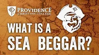 What is a Sea Beggar?