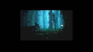 INTRO