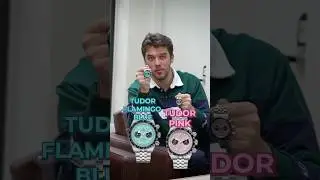 Какой оттенок вы бы предпочли: &laquo;Тюдорский розовый&raquo; или &laquo;Тюдорский фламинго-синий&raquo;?