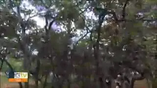 Lagoa Santa e destaque no no MG movel 2020 ano eleitoral quem sabe n&eacute;.