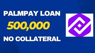 How To Borrow Money From Palmpay In 2024 (Low interest/No Collateral)