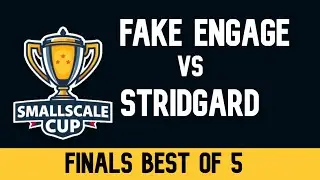 Small Scale Cup FINALS | Fake Engage VS Stridgard